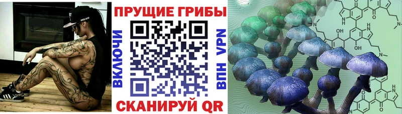 Купить где  Лаишево  Галлюциногенные грибы мухоморы 